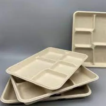 MULTIPLE  Disposable Food Tray